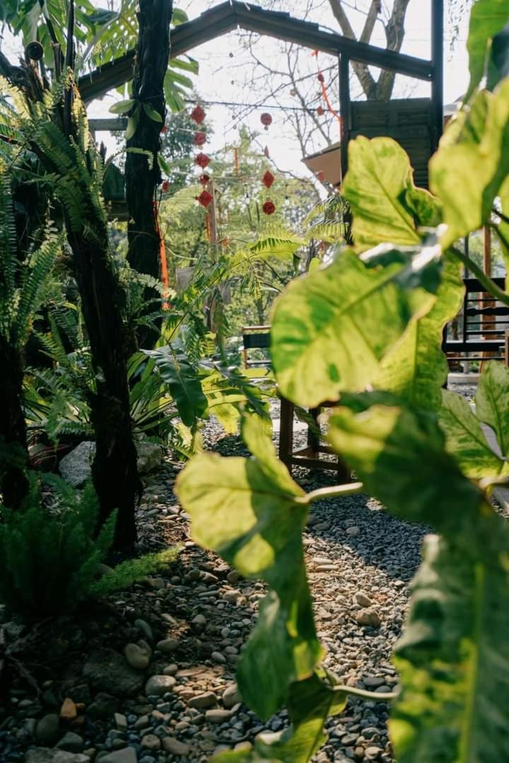 Harmony Garden - Home And Coffee เว้ ภายนอก รูปภาพ